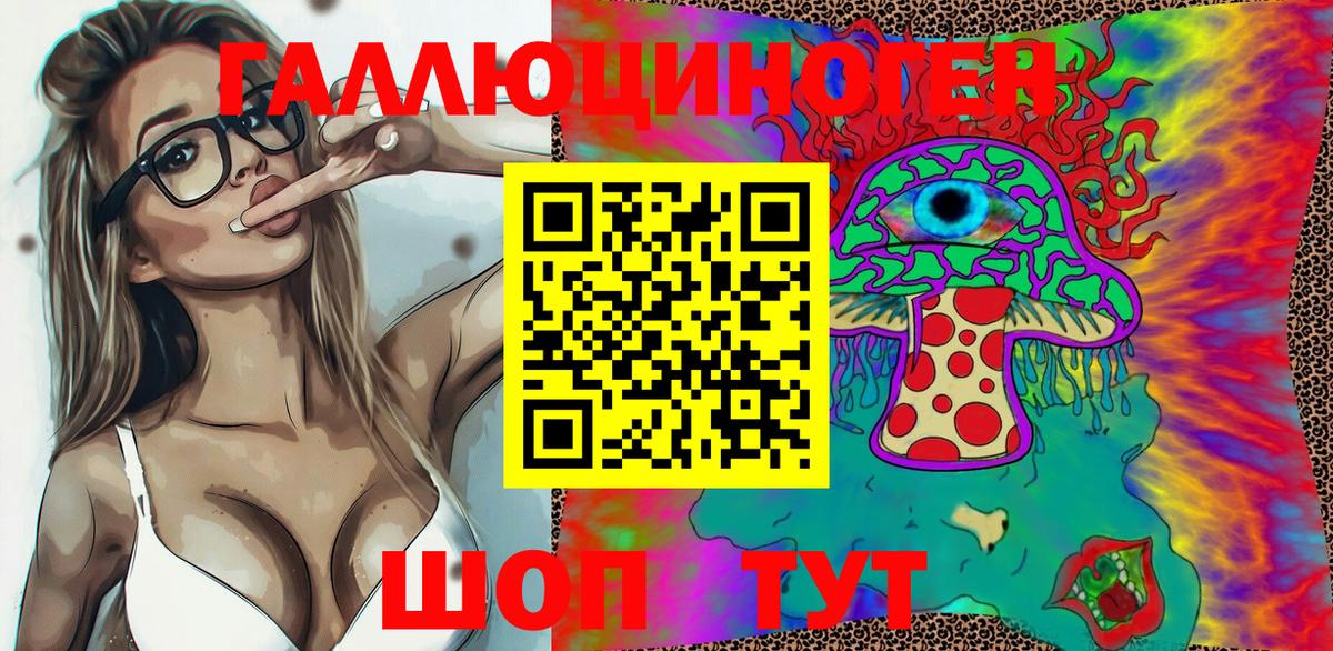 Псилоцибиновые грибы Cubensis Великие Луки